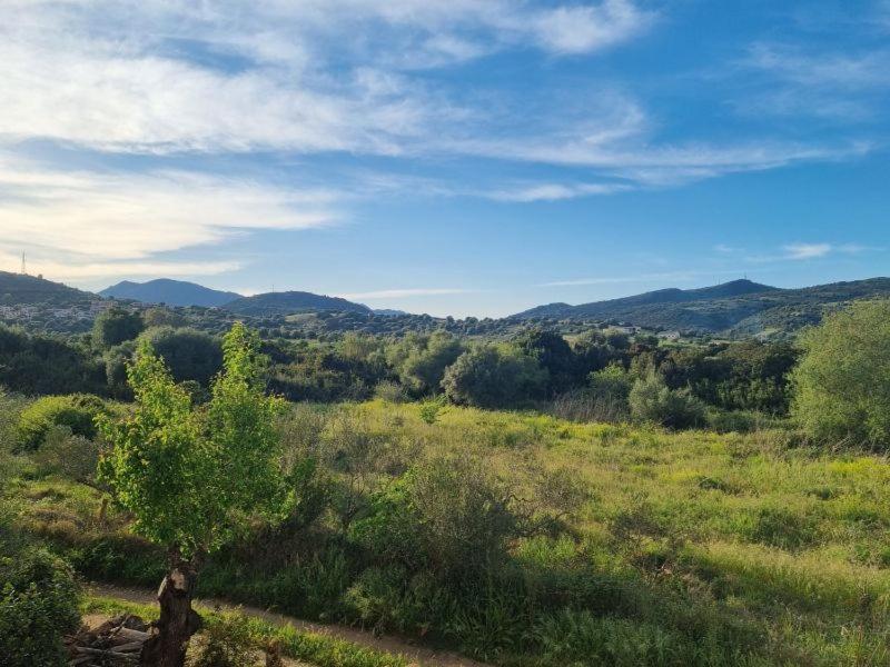 Il Casale Villa Budoni Buitenkant foto